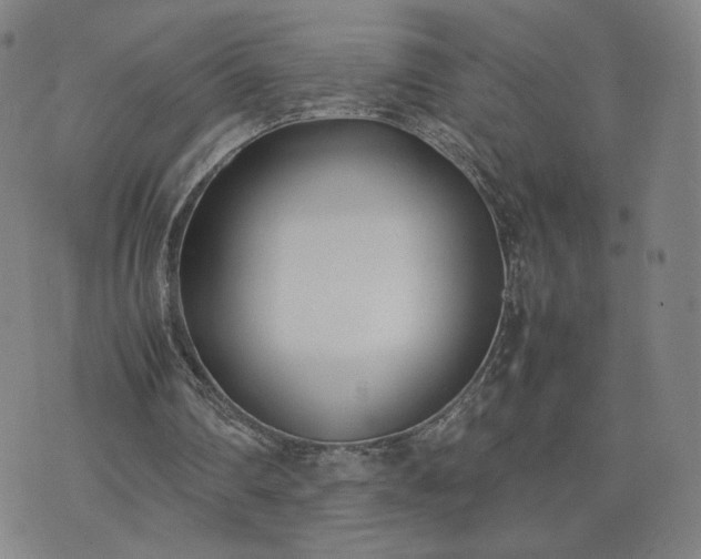 X0000074310290200609011519