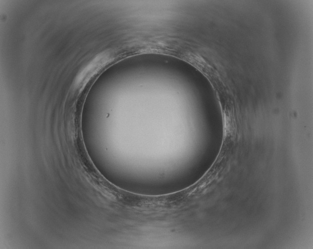 X0000074310291200609011519