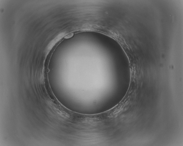 X0000074310292200609011519