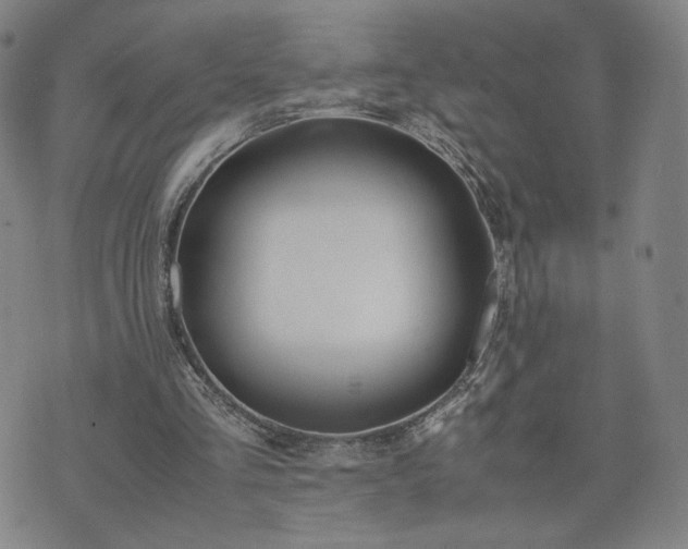 X0000074310293200609011519