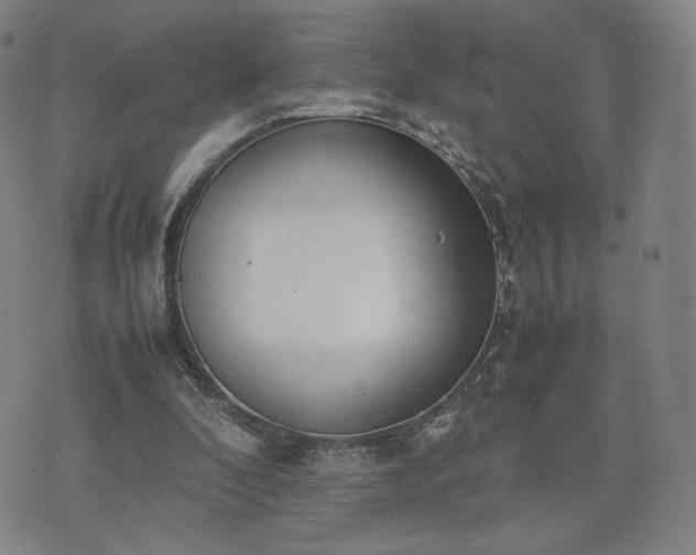 X0000074310296200609011519