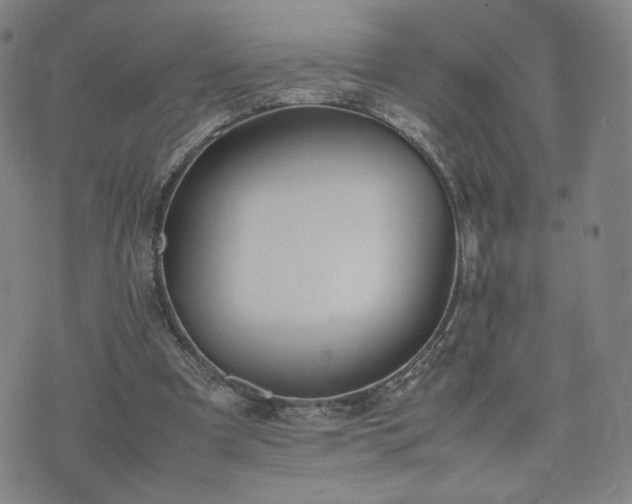 X0000074310297200609011519