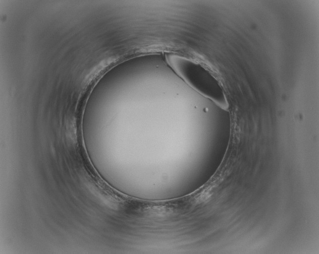 X0000074310298200609011519