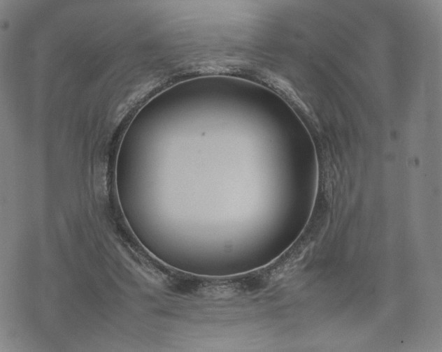 X0000074310299200609011519