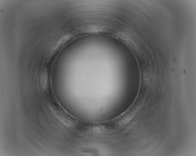 X0000074310304200609011519