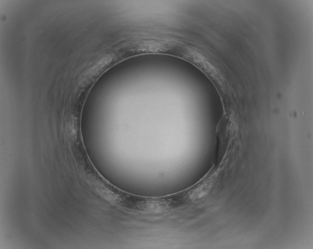 X0000074310305200609011519