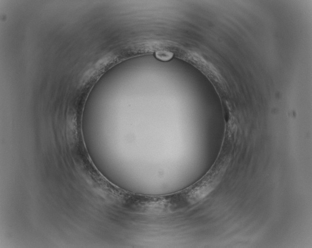 X0000074310306200609011519