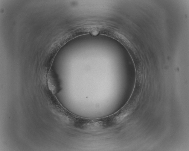 X0000074310307200609011519