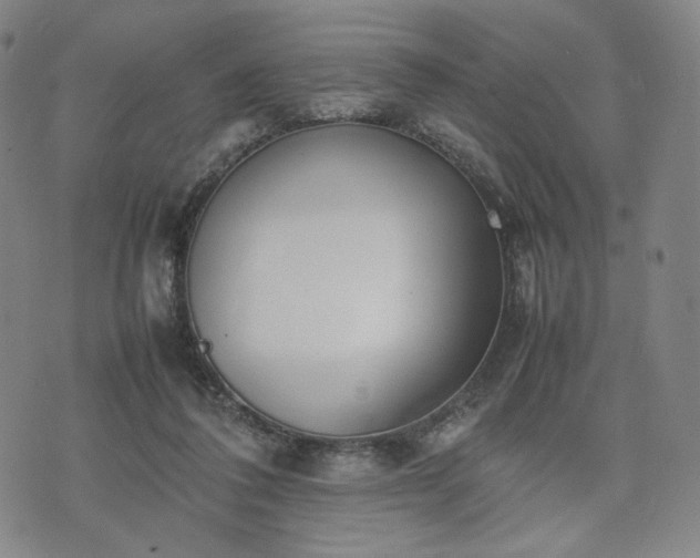 X0000074310308200609011519