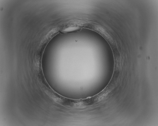 X0000074310309200609011519