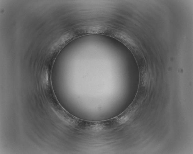 X0000074310310200609011519