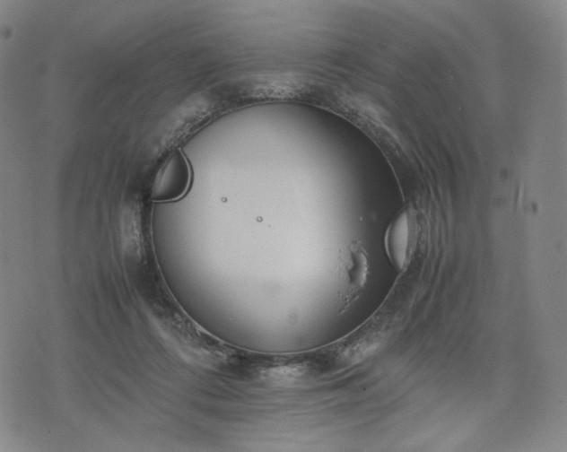 X0000074310312200609011519