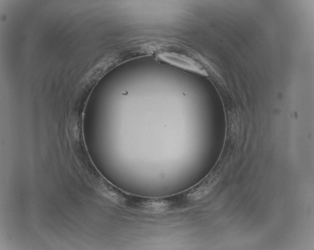 X0000074310313200609011519