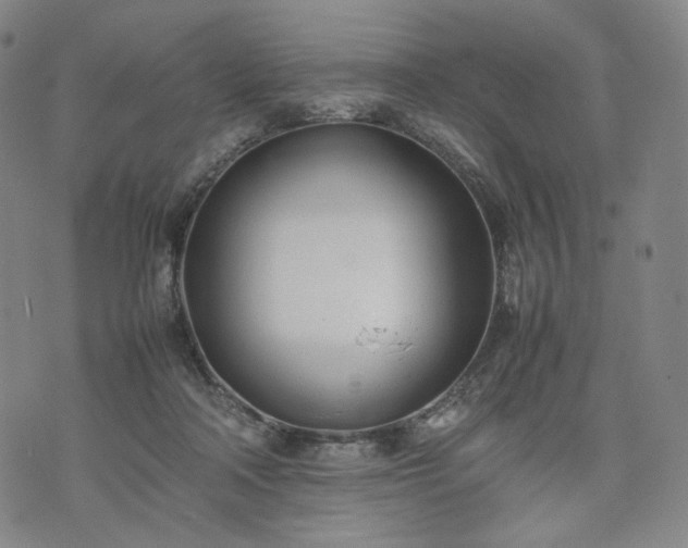 X0000074310314200609011519