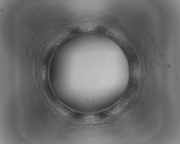 X0000074310315200609011519