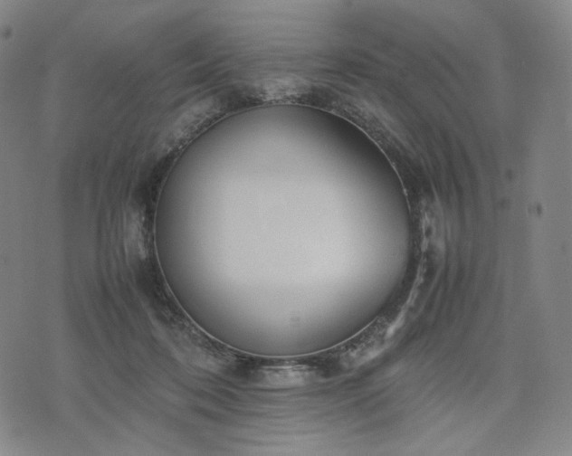 X0000074310316200609011519