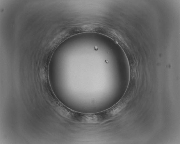 X0000074310317200609011519