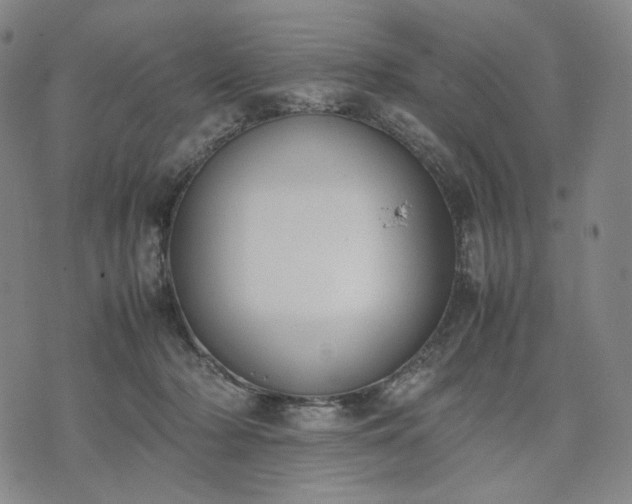 X0000074310318200609011519