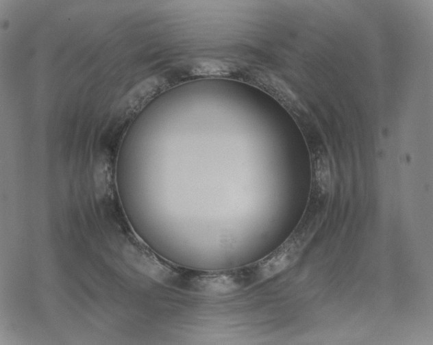 X0000074310322200609011519