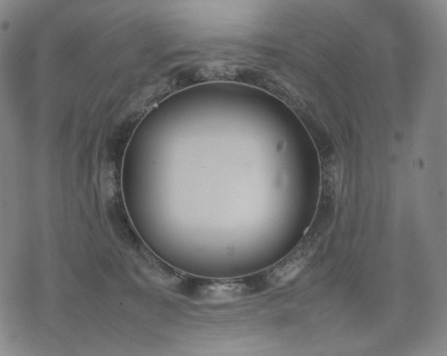 X0000074310323200609011519