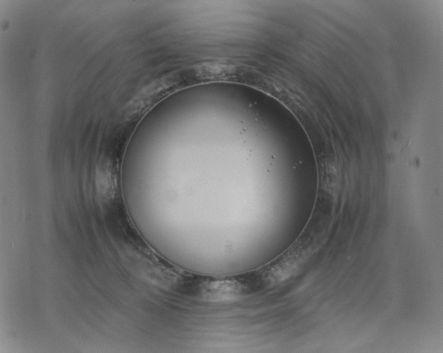 X0000074310324200609011519