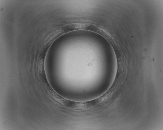 X0000074310325200609011519