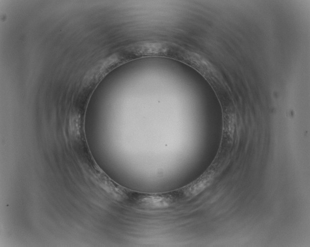 X0000074310326200609011519