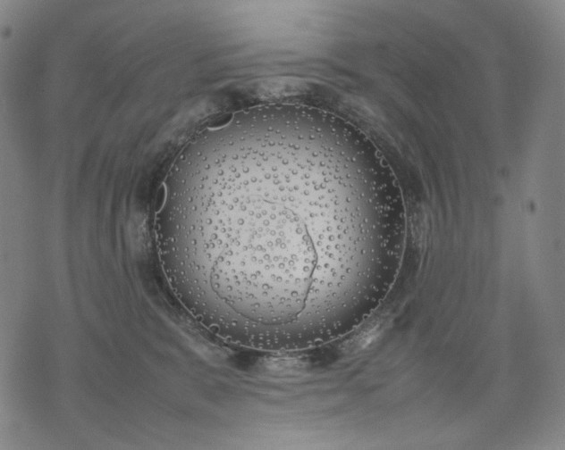 X0000074310327200609011519