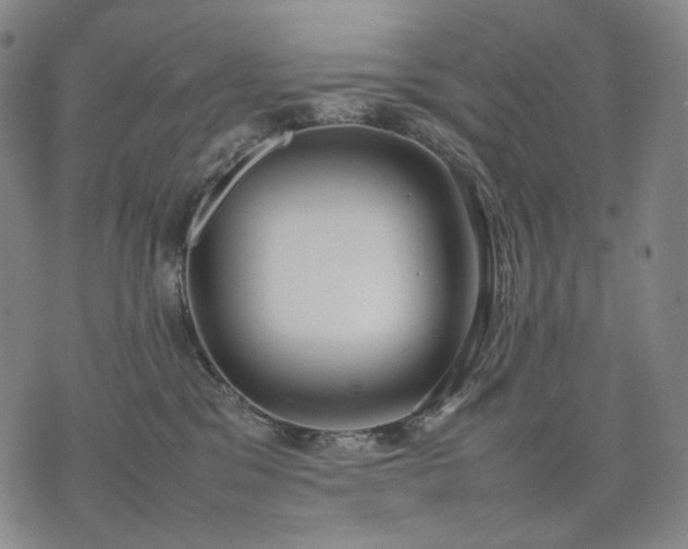 X0000074310329200609011519