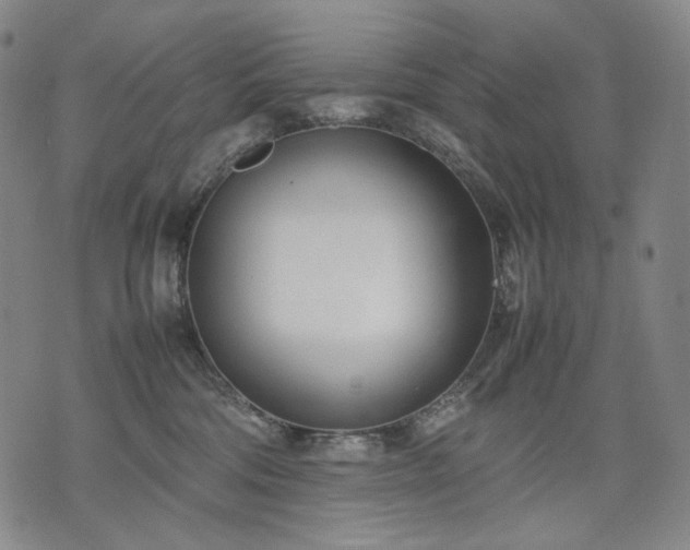 X0000074310330200609011519