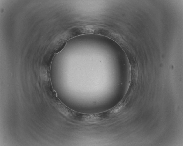 X0000074310331200609011519