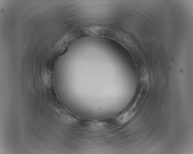 X0000074310332200609011518