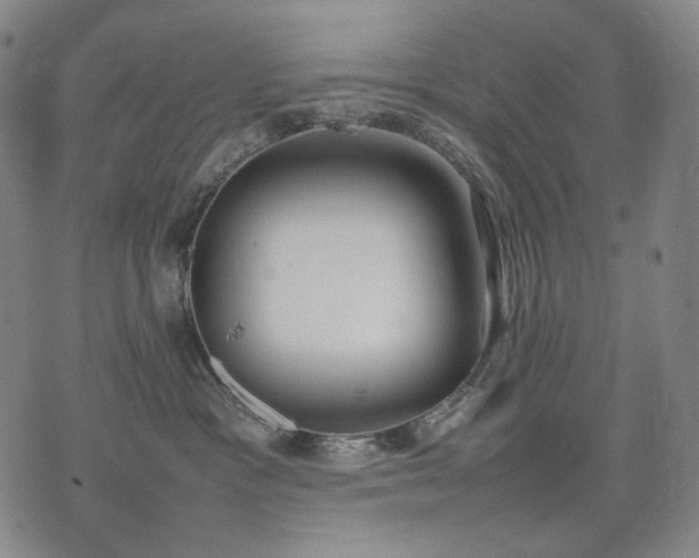 X0000074310333200609011518