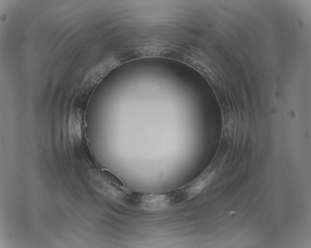 X0000074310334200609011518