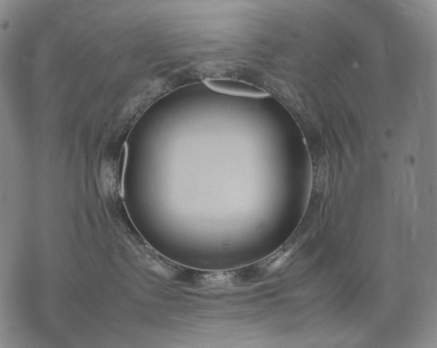 X0000074310335200609011518