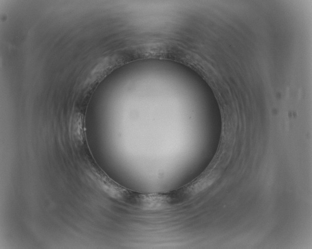 X0000074310336200609011518