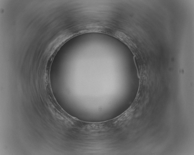 X0000074310338200609011518