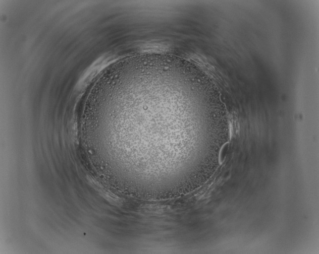 X0000074310339200609011518