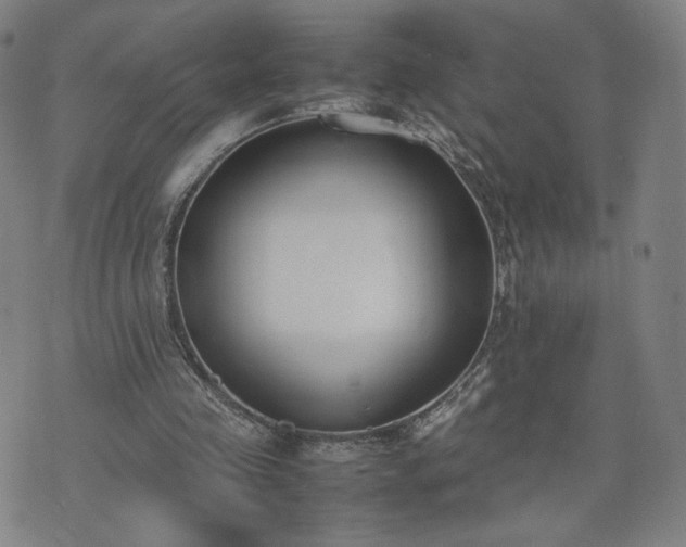 X0000074310341200609011518