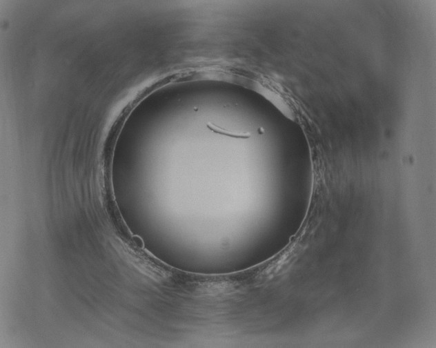 X0000074310342200609011518