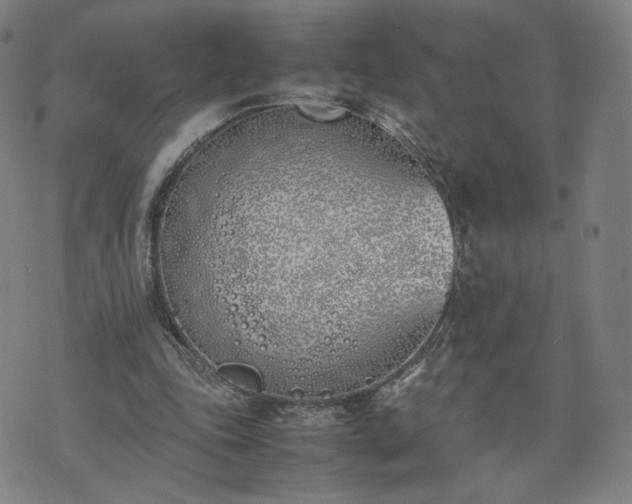 X0000074310343200609011518