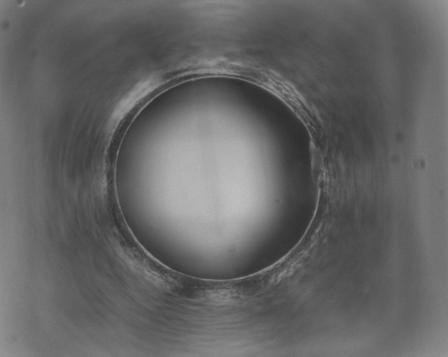 X0000074310344200609011518