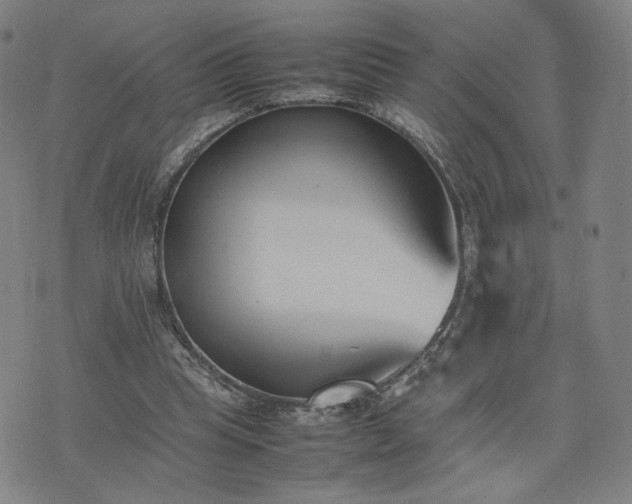 X0000074310345200609011518