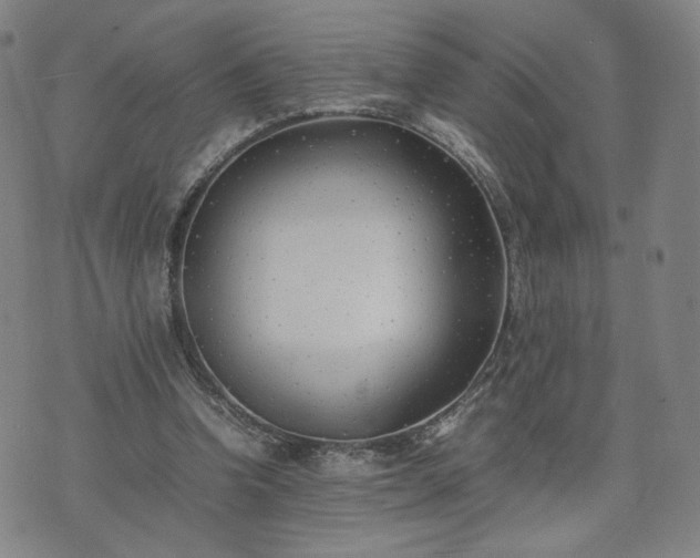 X0000074310346200609011518