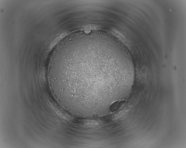 X0000074310347200609011518