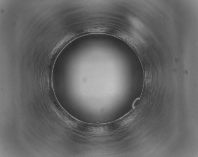 X0000074310349200609011518