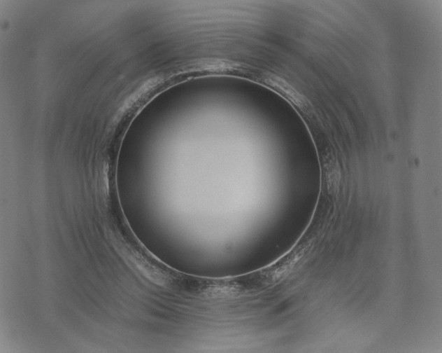 X0000074310350200609011518