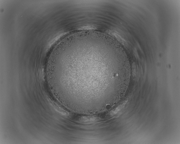 X0000074310351200609011518