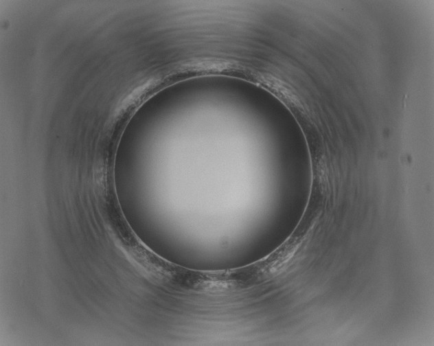 X0000074310352200609011518