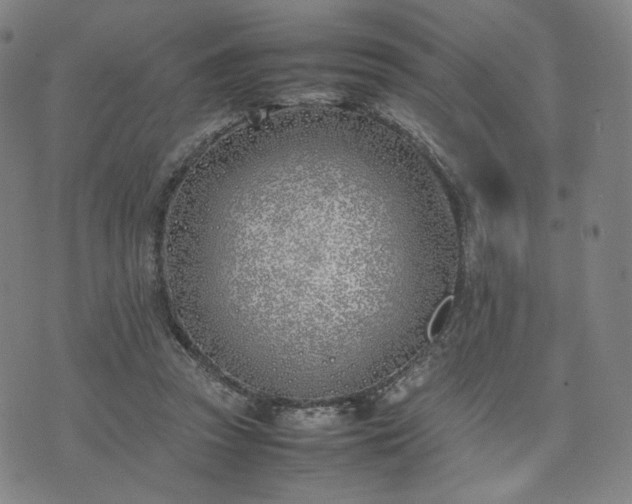 X0000074310353200609011518